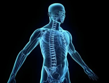 Τα όργανα του σώματος που μπορείς να ζήσεις και χωρίς αυτα